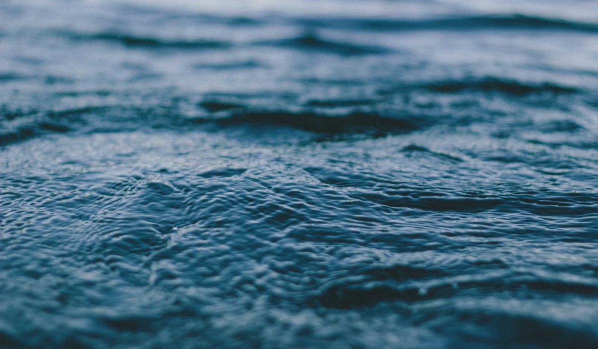 NGO Websites: How to Showcase Impact and Attract Donors