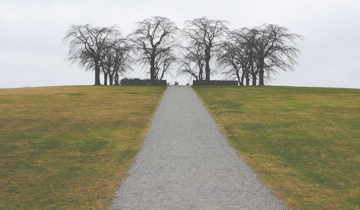 What Is Elementor and Why Do Developers Use It?